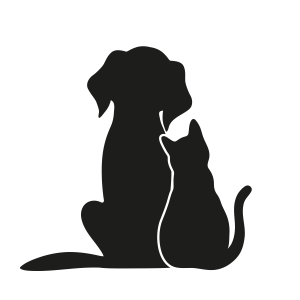 silhouette of a dog and cat